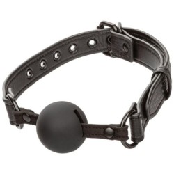 Nocturnal Collection  Ball Gag